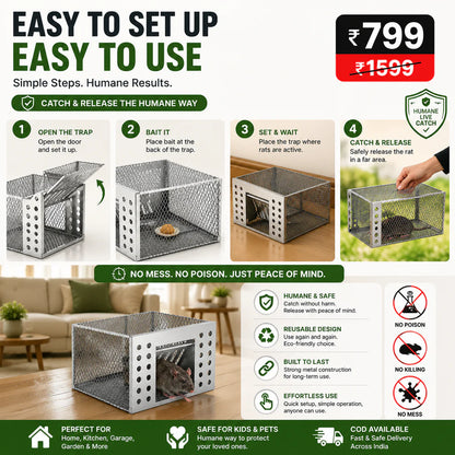LiveCatch Pro Buy 1 Get 1 Free