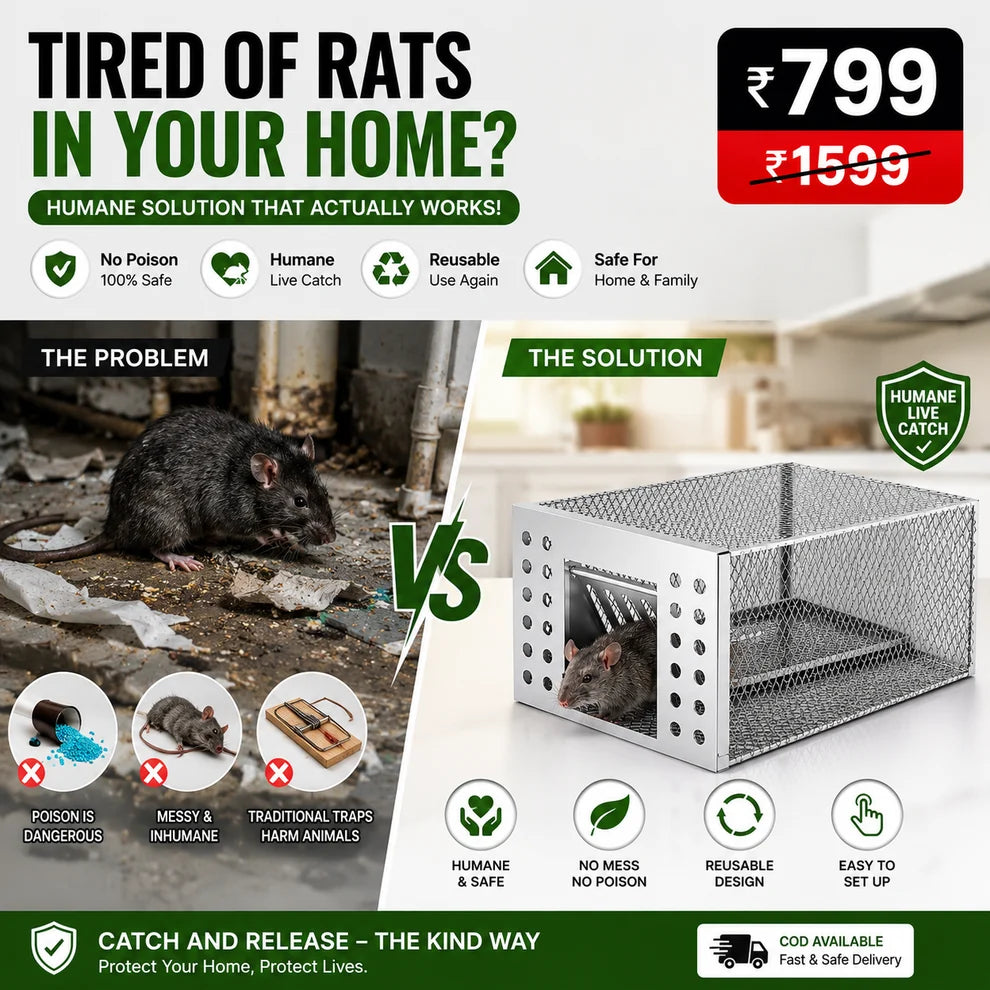 LiveCatch Pro Buy 1 Get 1 Free