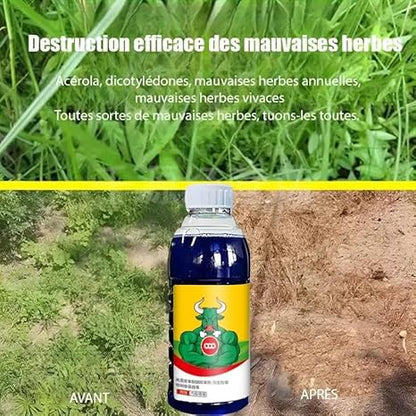 Organic Plant Growth Booster (Pack of 2)