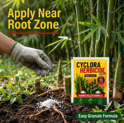 Bambora™ RootLock Granules (Buy 1 Get 2 Free)
