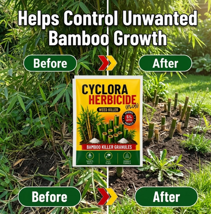 Bambora™ RootLock Granules (Buy 1 Get 2 Free)